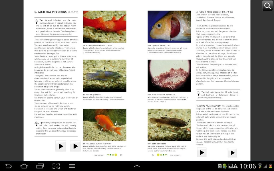 Fish Diseases - عکس برنامه موبایلی اندروید