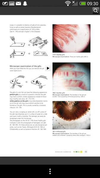 Fish Diseases - عکس برنامه موبایلی اندروید