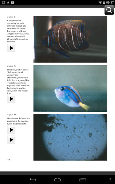 Fish Diseases - عکس برنامه موبایلی اندروید