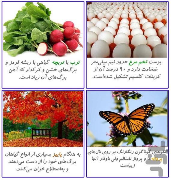 آموزش الفبای فارسی - عکس برنامه موبایلی اندروید