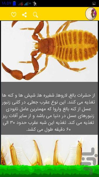 پرورش زنبور عسل حرفه ایی - Image screenshot of android app