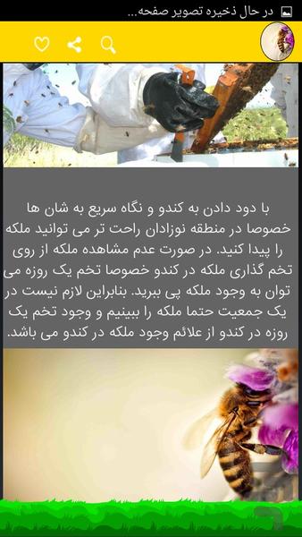 پرورش زنبور عسل حرفه ایی - Image screenshot of android app