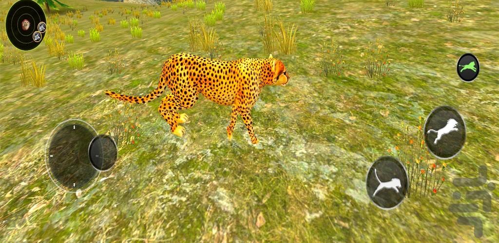 بازی زندگی در حیات وحش چیتا ها - Gameplay image of android game