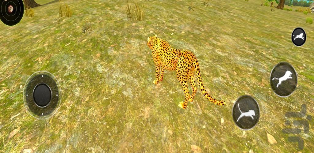 بازی زندگی در حیات وحش چیتا ها - Gameplay image of android game