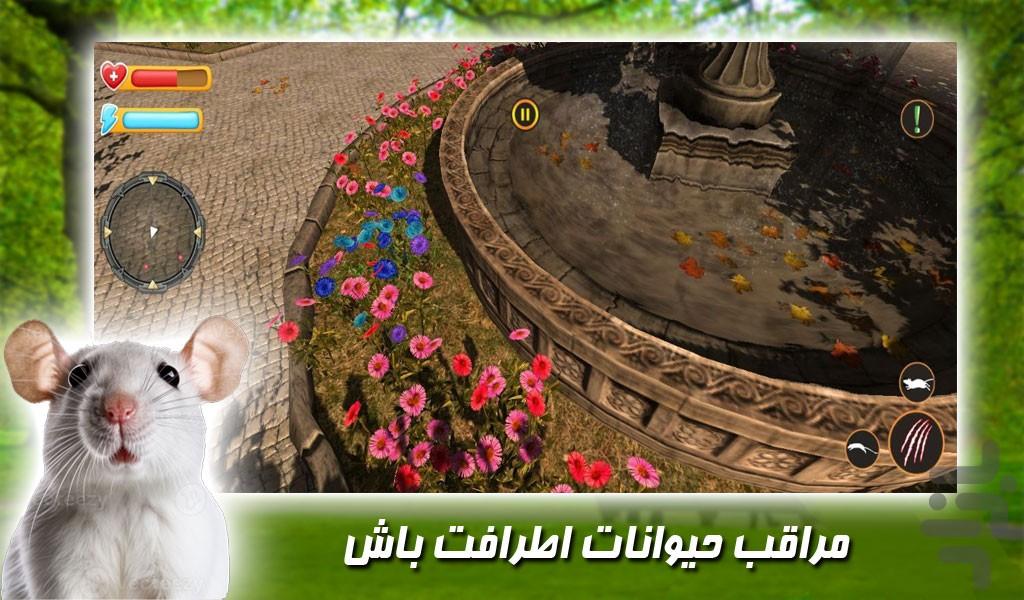 بازی ماجراهای موش زبل - Gameplay image of android game