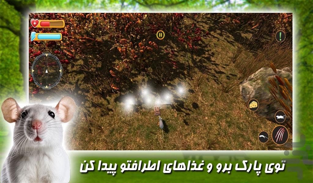 بازی ماجراهای موش زبل - Gameplay image of android game