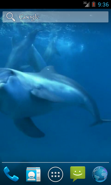 Video Wallpapers: Amazing Dolphins HD - Image screenshot of android app