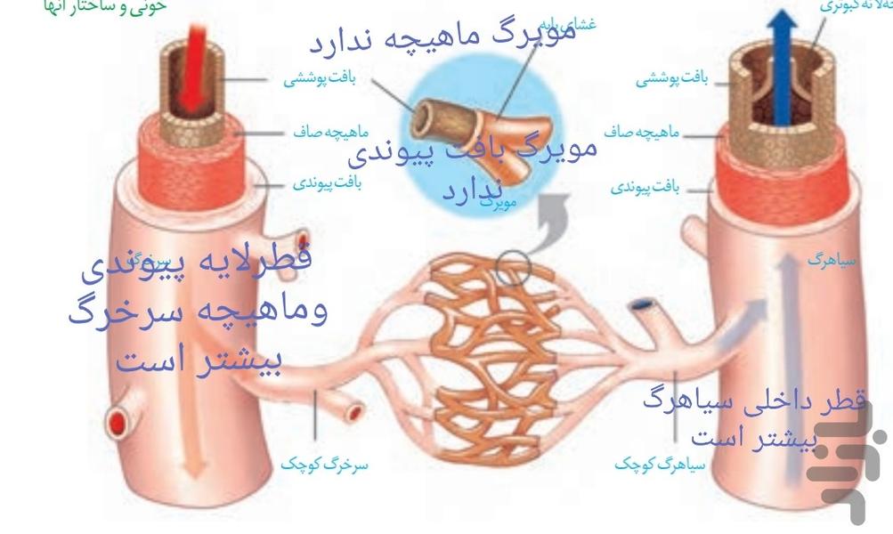 آموزش تصویری زیست دهم - عکس برنامه موبایلی اندروید