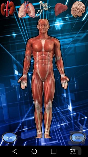 اناتومی - Image screenshot of android app