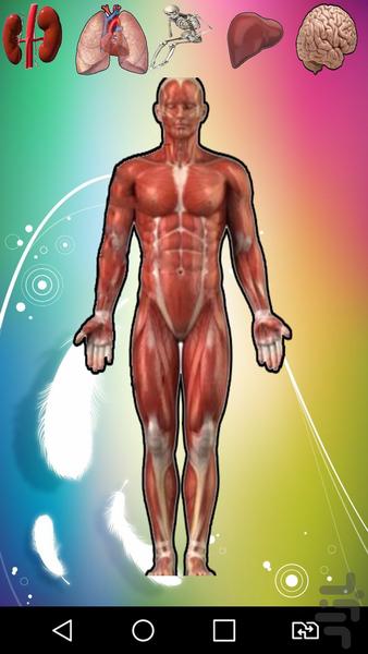 اناتومی - Image screenshot of android app