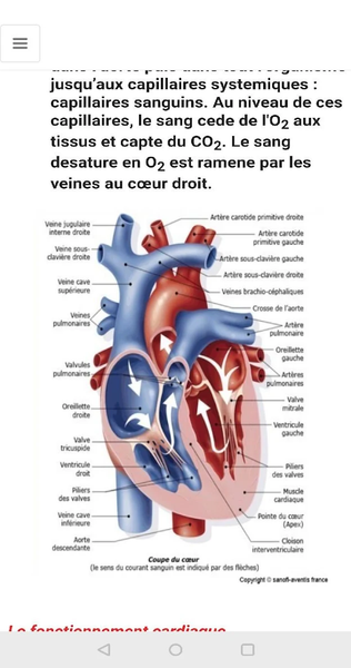Anatomy - Physiology - عکس برنامه موبایلی اندروید