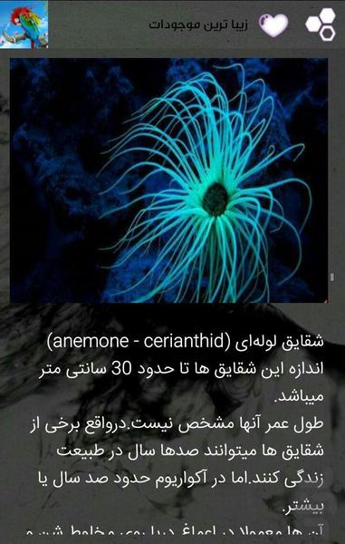 animal galery - Image screenshot of android app