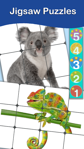 Animals Cards Games - Image screenshot of android app