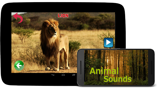 Animal Sounds - عکس برنامه موبایلی اندروید