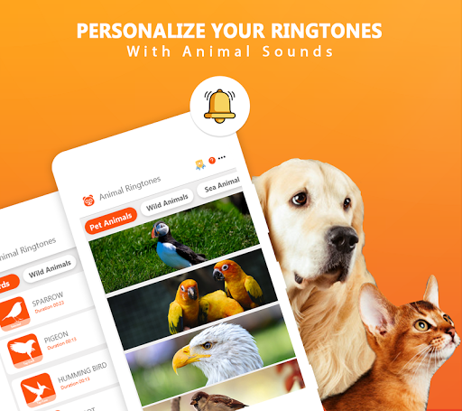 Animal Ringtones - Animal Wallpaper Bird Ringtones - عکس برنامه موبایلی اندروید