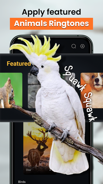 Animal sounds & Bird songs - عکس برنامه موبایلی اندروید