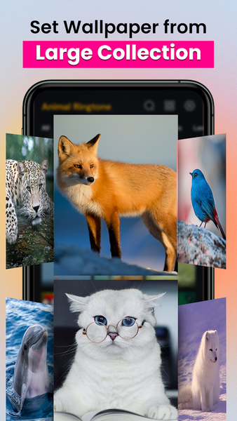 Animal sounds & wallpaper - عکس برنامه موبایلی اندروید