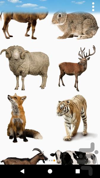 صدای حیوانات صدای انسان - Image screenshot of android app