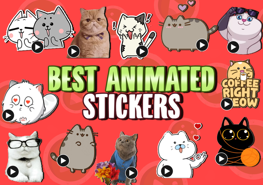 WASticker Cats Animated meme - Image screenshot of android app