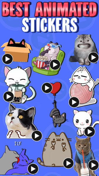WASticker Cats Animated meme - Image screenshot of android app