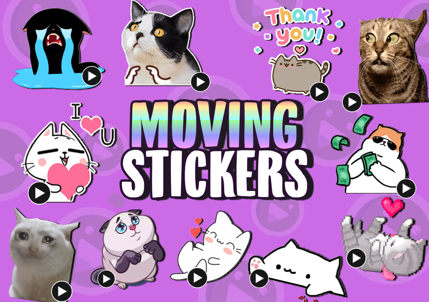 WASticker Cats Animated meme - Image screenshot of android app