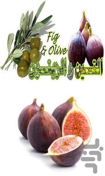 انجیر - عکس برنامه موبایلی اندروید