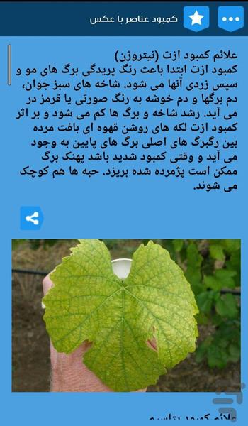 صفر تا صد کشت انگور - Image screenshot of android app