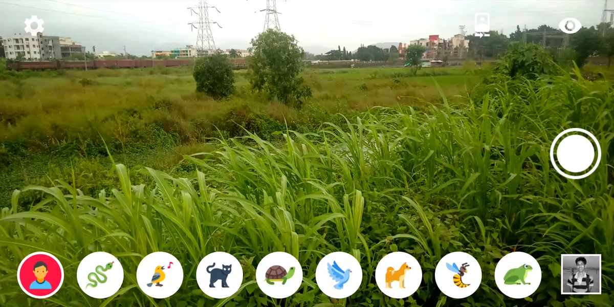 Animal Vision : OpenCV Filters - Image screenshot of android app