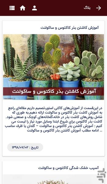 CactiStore - Image screenshot of android app