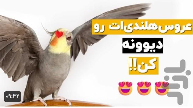 آموزش عروس هلندی - Image screenshot of android app