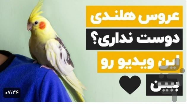 آموزش عروس هلندی - Image screenshot of android app