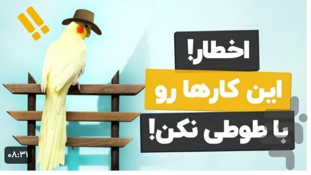 آموزش عروس هلندی - Image screenshot of android app