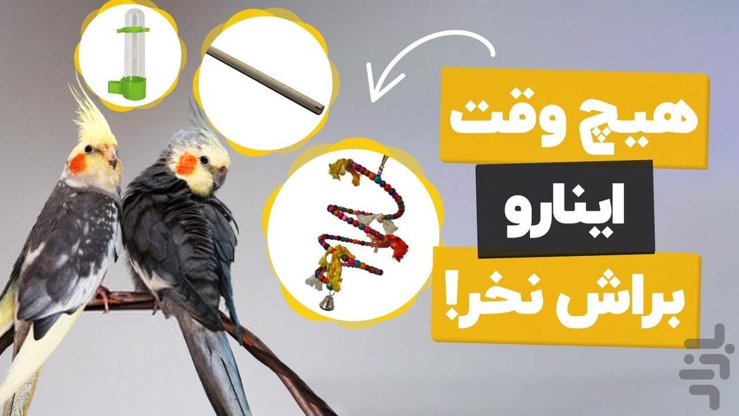 آموزش عروس هلندی - عکس برنامه موبایلی اندروید