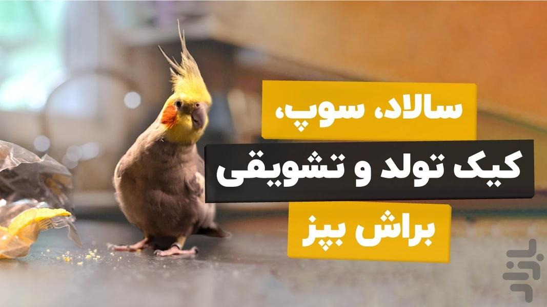 آموزش عروس هلندی - عکس برنامه موبایلی اندروید