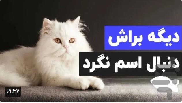آموزش گربه خانگی - Image screenshot of android app