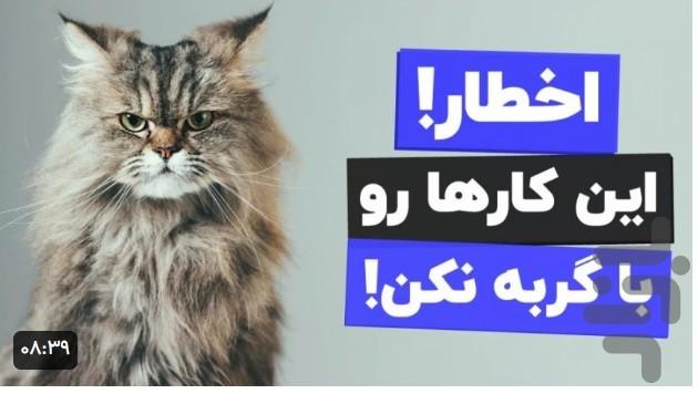 آموزش گربه خانگی - Image screenshot of android app