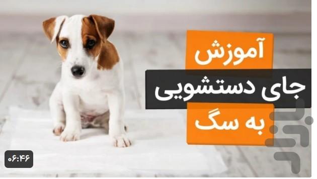 آموزش سگ خانگی - عکس برنامه موبایلی اندروید