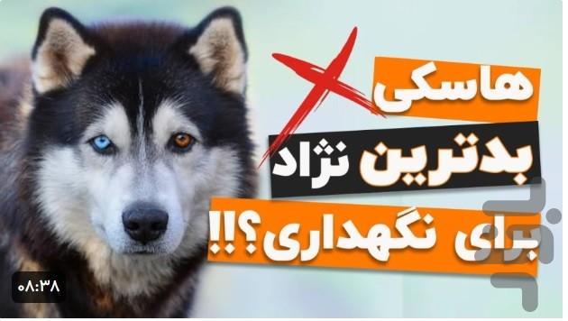آموزش سگ خانگی - عکس برنامه موبایلی اندروید