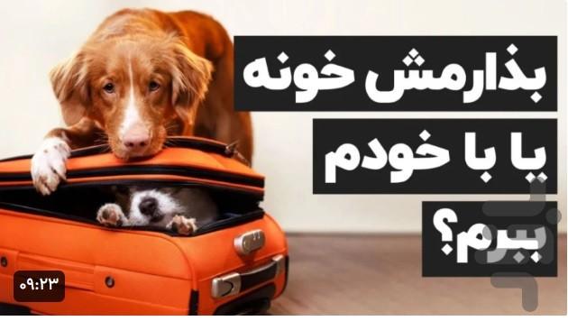 آموزش سگ خانگی - عکس برنامه موبایلی اندروید