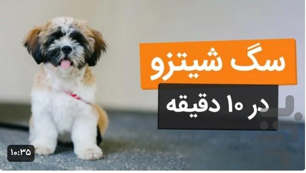 آموزش سگ خانگی - عکس برنامه موبایلی اندروید