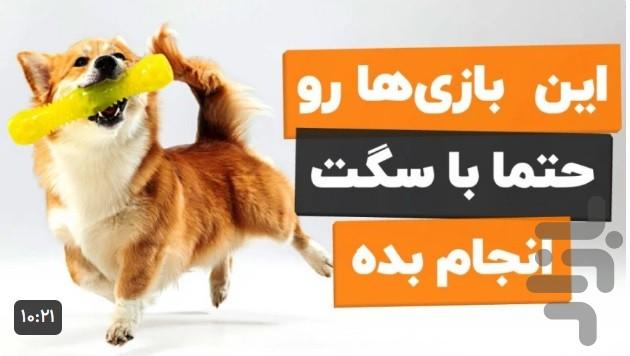 آموزش سگ خانگی - عکس برنامه موبایلی اندروید