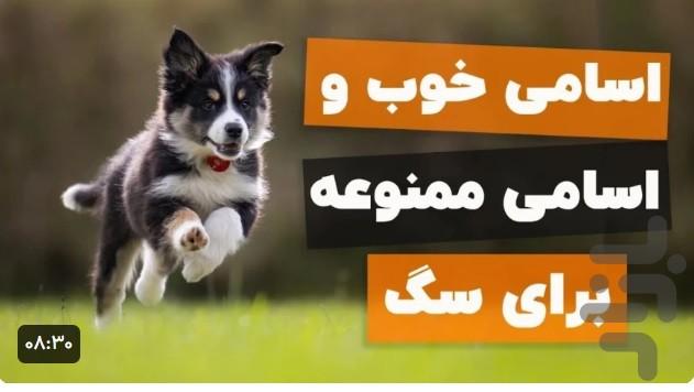 آموزش سگ خانگی - عکس برنامه موبایلی اندروید