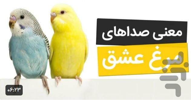 اموزش انواع طوطی - عکس برنامه موبایلی اندروید