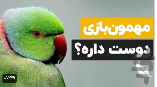 اموزش انواع طوطی - عکس برنامه موبایلی اندروید