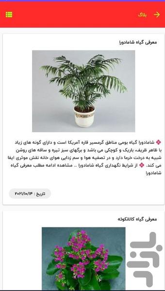 خانه گل ارمیا - عکس برنامه موبایلی اندروید