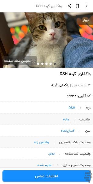 پت فا | آگهی واگذاری و حیوانات گمشده - عکس برنامه موبایلی اندروید