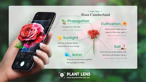Plant Lens Plant identifier - Image screenshot of android app