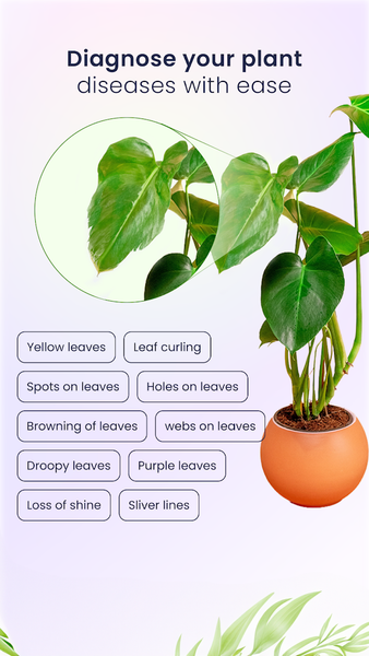 Plantora- Plant Identify, Care - عکس برنامه موبایلی اندروید