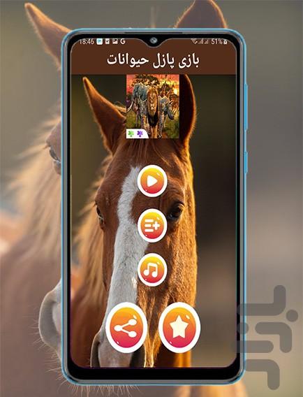 بازی پازل حیوانات - Gameplay image of android game