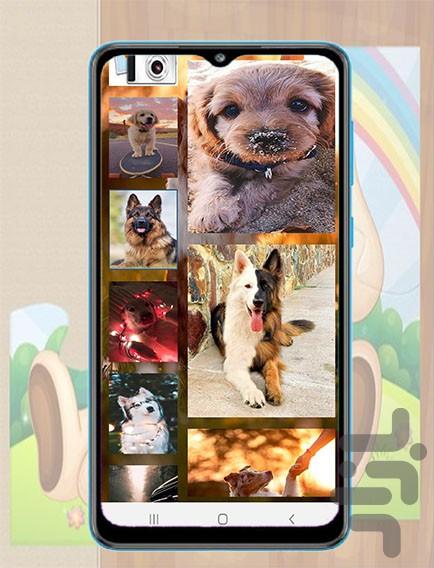 بازی سگ پازل - Gameplay image of android game